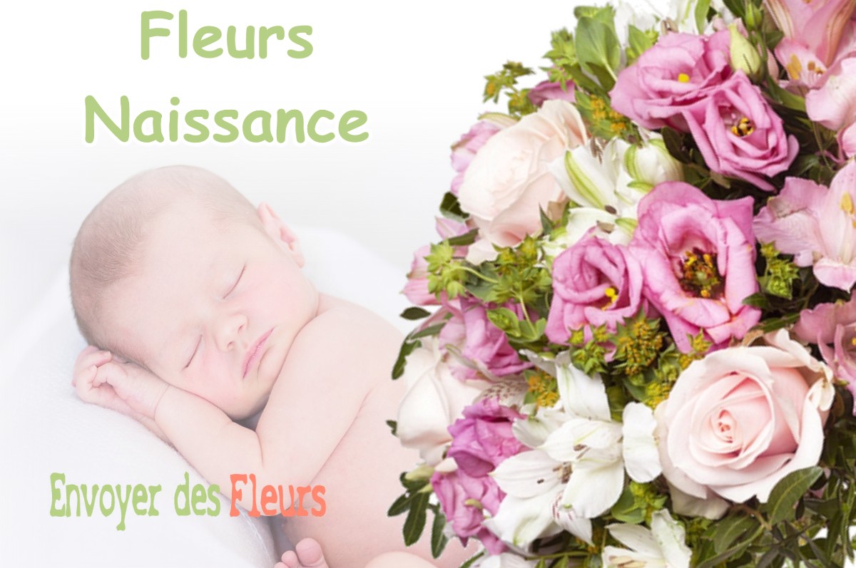 lIVRAISON FLEURS NAISSANCE à LA-PIERRE